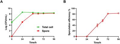 Monitoring of Bacillus spore-forming dynamics through flow cytometry